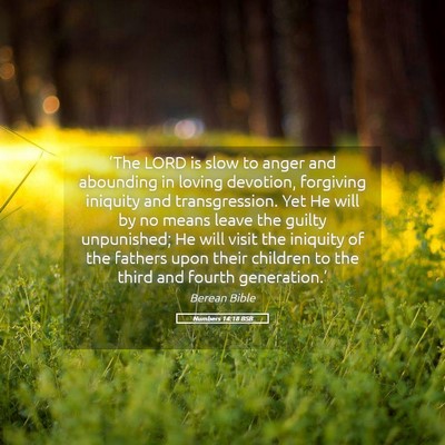 Picture 05 - Numbers 14:18 BSB - ‘The LORD is slow to anger and abounding in - Bible Verse Picture