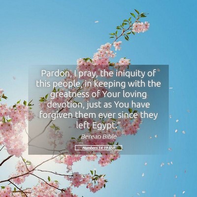 Picture 05 - Numbers 14:19 BSB - Pardon, I pray, the iniquity of this people, in - Bible Verse Picture