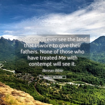Picture 05 - Numbers 14:23 BSB - not one will ever see the land that I swore to - Bible Verse Picture