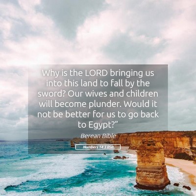 Picture 05 - Numbers 14:3 BSB - Why is the LORD bringing us into this land to - Bible Verse Picture
