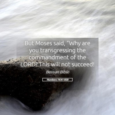 Picture 05 - Numbers 14:41 BSB - But Moses said, “Why are you transgressing the - Bible Verse Picture