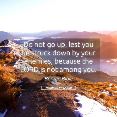 Picture 05 - Numbers 14:42 BSB - Do not go up, lest you be struck down by your - Bible Verse Picture