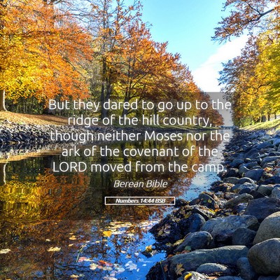 Picture 05 - Numbers 14:44 BSB - But they dared to go up to the ridge of the hill - Bible Verse Picture