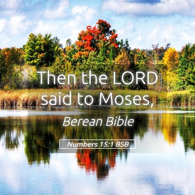 Picture 05 - Numbers 15:1 BSB - Then the LORD said to - Bible Verse Picture