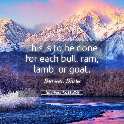 Picture 05 - Numbers 15:11 BSB - This is to be done for each bull, ram, lamb, or - Bible Verse Picture