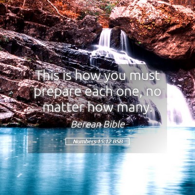 Picture 05 - Numbers 15:12 BSB - This is how you must prepare each one, no matter - Bible Verse Picture