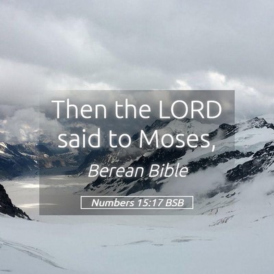 Picture 05 - Numbers 15:17 BSB - Then the LORD said to - Bible Verse Picture