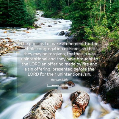 Picture 05 - Numbers 15:25 BSB - The priest is to make atonement for the whole - Bible Verse Picture