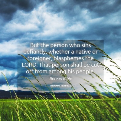 Picture 05 - Numbers 15:30 BSB - But the person who sins defiantly, whether a - Bible Verse Picture