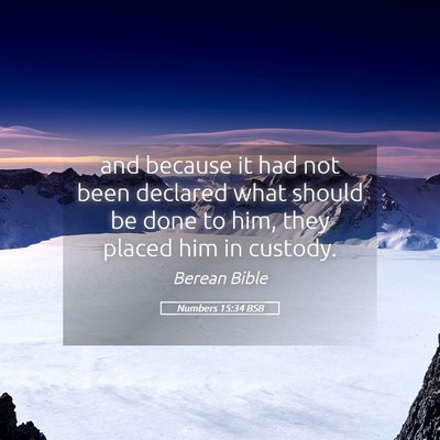 Picture 05 - Numbers 15:34 BSB - and because it had not been declared what should - Bible Verse Picture