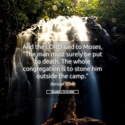 Picture 05 - Numbers 15:35 BSB - And the LORD said to Moses, “The man must - Bible Verse Picture