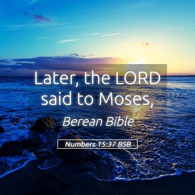 Picture 05 - Numbers 15:37 BSB - Later, the LORD said to - Bible Verse Picture