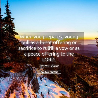 Picture 05 - Numbers 15:8 BSB - When you prepare a young bull as a burnt offering - Bible Verse Picture