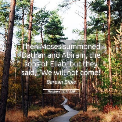 Picture 05 - Numbers 16:12 BSB - Then Moses summoned Dathan and Abiram, the sons - Bible Verse Picture