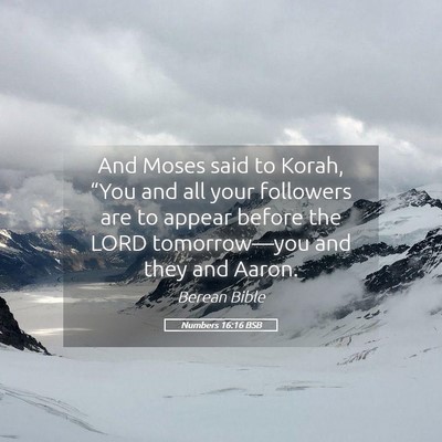 Picture 05 - Numbers 16:16 BSB - And Moses said to Korah, “You and all your - Bible Verse Picture