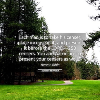 Picture 05 - Numbers 16:17 BSB - Each man is to take his censer, place incense in - Bible Verse Picture