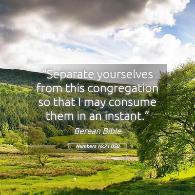 Picture 05 - Numbers 16:21 BSB - “Separate yourselves from this congregation so - Bible Verse Picture
