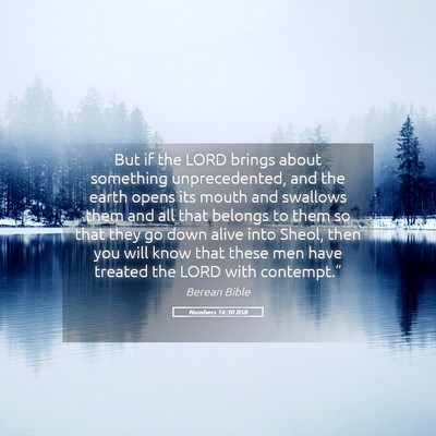 Picture 05 - Numbers 16:30 BSB - But if the LORD brings about something - Bible Verse Picture