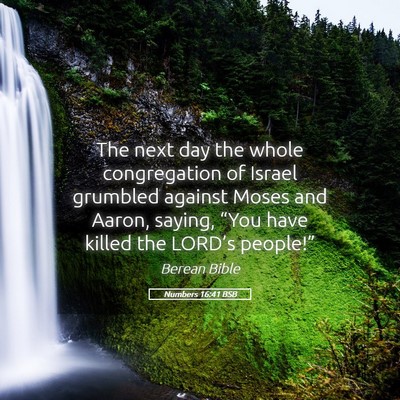 Picture 05 - Numbers 16:41 BSB - The next day the whole congregation of Israel - Bible Verse Picture