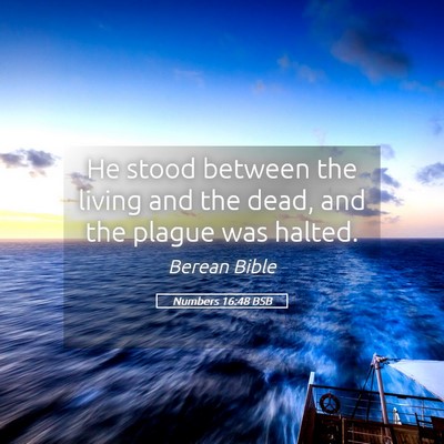 Picture 05 - Numbers 16:48 BSB - He stood between the living and the dead, and the - Bible Verse Picture
