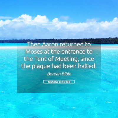 Picture 05 - Numbers 16:50 BSB - Then Aaron returned to Moses at the entrance to - Bible Verse Picture