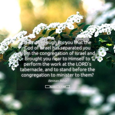 Picture 05 - Numbers 16:9 BSB - Is it not enough for you that the God of Israel - Bible Verse Picture