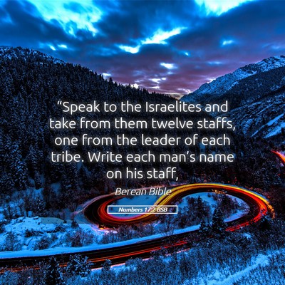 Picture 05 - Numbers 17:2 BSB - “Speak to the Israelites and take from them - Bible Verse Picture