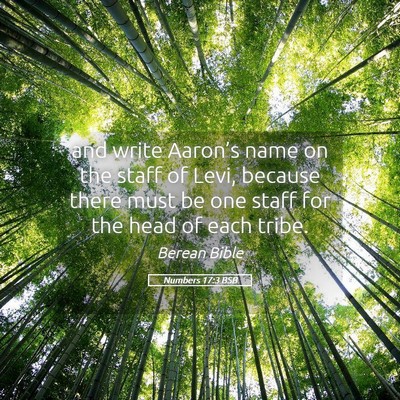 Picture 05 - Numbers 17:3 BSB - and write Aaron’s name on the staff of Levi, - Bible Verse Picture