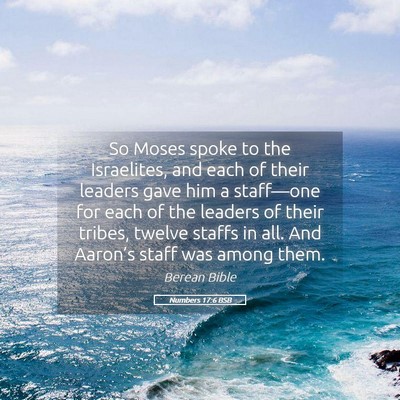Picture 05 - Numbers 17:6 BSB - So Moses spoke to the Israelites, and each of - Bible Verse Picture