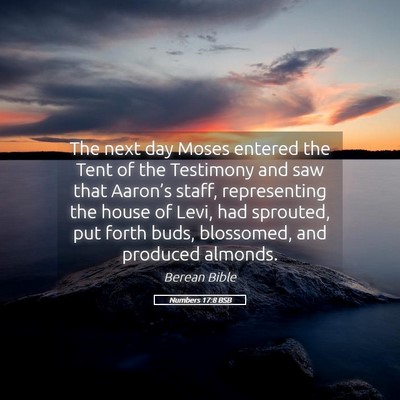 Picture 05 - Numbers 17:8 BSB - The next day Moses entered the Tent of the - Bible Verse Picture