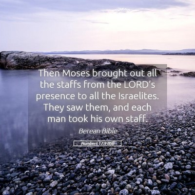 Picture 05 - Numbers 17:9 BSB - Then Moses brought out all the staffs from the - Bible Verse Picture