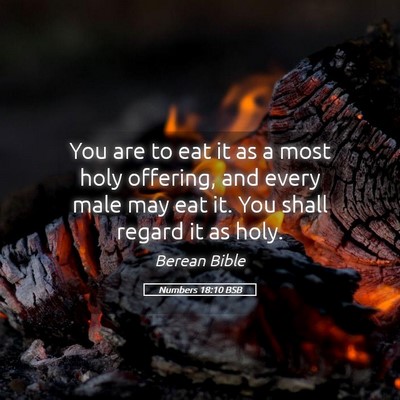 Picture 05 - Numbers 18:10 BSB - You are to eat it as a most holy offering, and - Bible Verse Picture