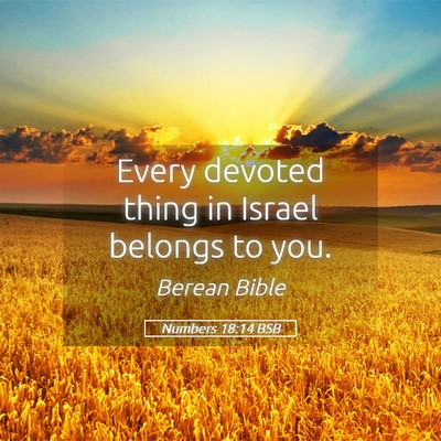 Picture 05 - Numbers 18:14 BSB - Every devoted thing in Israel belongs to - Bible Verse Picture