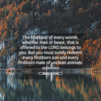 Picture 05 - Numbers 18:15 BSB - The firstborn of every womb, whether man or - Bible Verse Picture