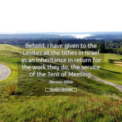 Picture 05 - Numbers 18:21 BSB - Behold, I have given to the Levites all the - Bible Verse Picture
