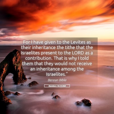 Picture 05 - Numbers 18:24 BSB - For I have given to the Levites as their - Bible Verse Picture