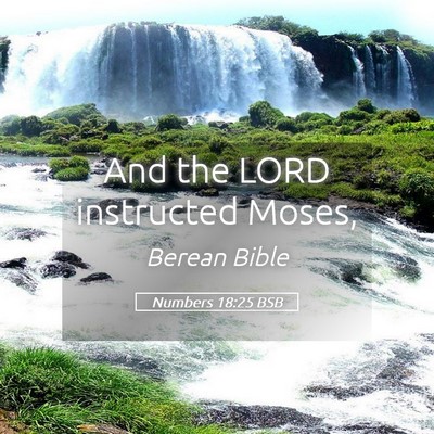 Picture 05 - Numbers 18:25 BSB - And the LORD instructed - Bible Verse Picture