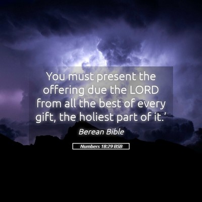 Picture 05 - Numbers 18:29 BSB - You must present the offering due the LORD from - Bible Verse Picture