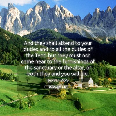 Picture 05 - Numbers 18:3 BSB - And they shall attend to your duties and to all - Bible Verse Picture