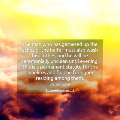 Picture 05 - Numbers 19:10 BSB - The man who has gathered up the ashes of the - Bible Verse Picture