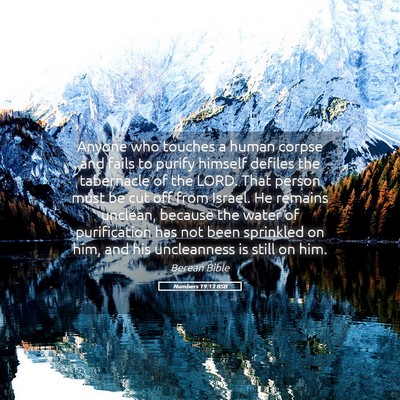Picture 05 - Numbers 19:13 BSB - Anyone who touches a human corpse and fails to - Bible Verse Picture