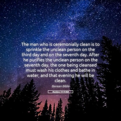 Picture 05 - Numbers 19:19 BSB - The man who is ceremonially clean is to sprinkle - Bible Verse Picture