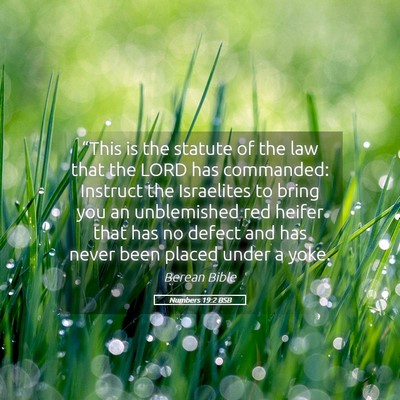 Picture 05 - Numbers 19:2 BSB - “This is the statute of the law that the LORD - Bible Verse Picture