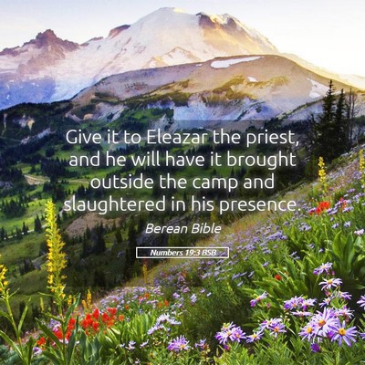 Picture 05 - Numbers 19:3 BSB - Give it to Eleazar the priest, and he will have - Bible Verse Picture