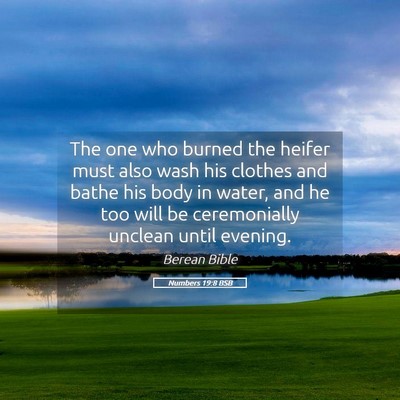 Picture 05 - Numbers 19:8 BSB - The one who burned the heifer must also wash his - Bible Verse Picture