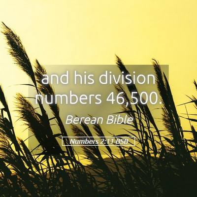 Picture 05 - Numbers 2:11 BSB - and his division numbers - Bible Verse Picture