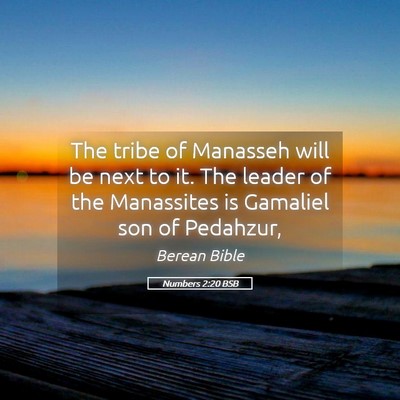 Picture 05 - Numbers 2:20 BSB - The tribe of Manasseh will be next to it. The - Bible Verse Picture