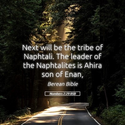 Picture 05 - Numbers 2:29 BSB - Next will be the tribe of Naphtali. The leader of - Bible Verse Picture
