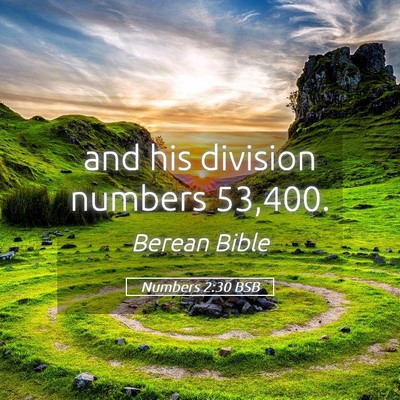 Picture 05 - Numbers 2:30 BSB - and his division numbers - Bible Verse Picture