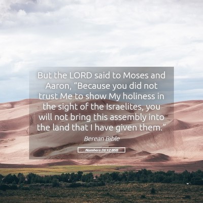 Picture 05 - Numbers 20:12 BSB - But the LORD said to Moses and Aaron, “Because - Bible Verse Picture